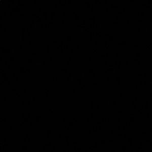 Meet your Posher, Gracie